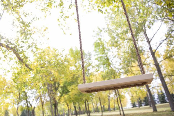 Tree Swing Installation in Windsor
