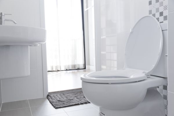 Toilet Seat Installation in Windsor