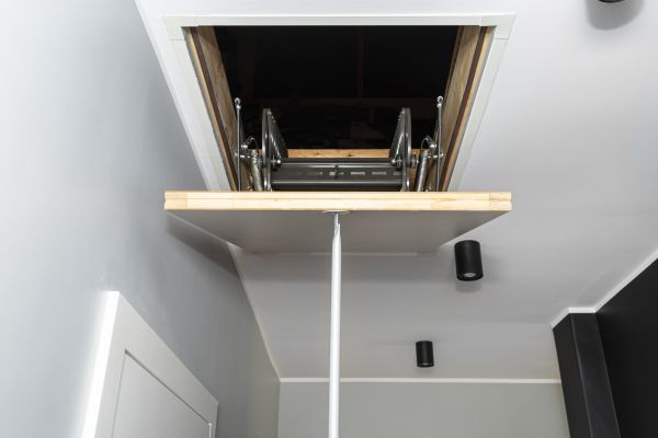 Attic Door Repair in Windsor