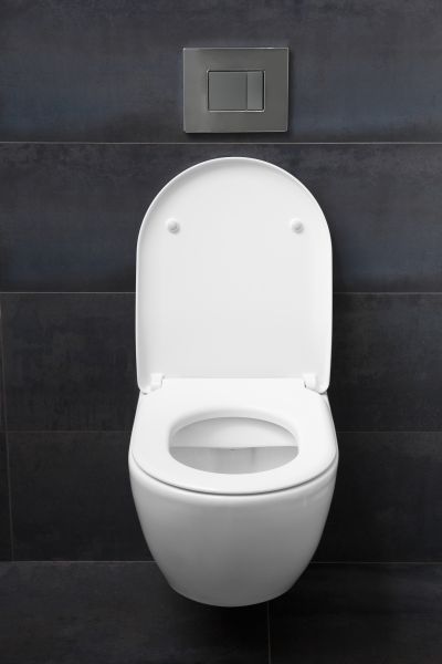 Toilet Lid Installation in Windsor
