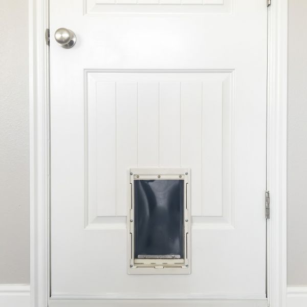 Pet Door Repair in Windsor