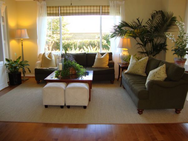 Valance Rod Installation in Windsor