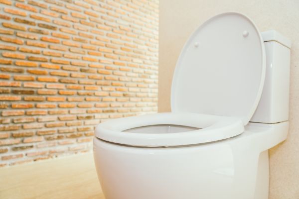 Toilet Seat Repair in Windsor